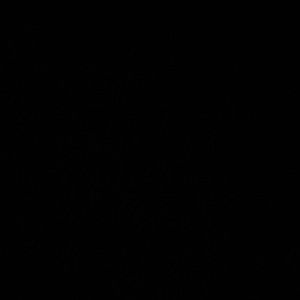 Meet your Posher, Corbin